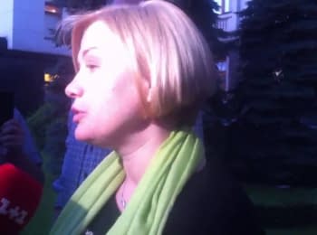 Iryna Gerashchenko about the plan of the President for peaceful settlement of a situation on Donbas, on June 19, 2014