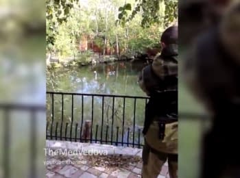 Terrorists having fun shooting from grenade launchers at a pond