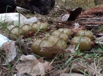 На Дніпропетровщині СБУ виявила схованку з арсеналом зброї