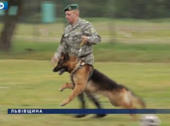 Training of the four-legged soldiers for the front