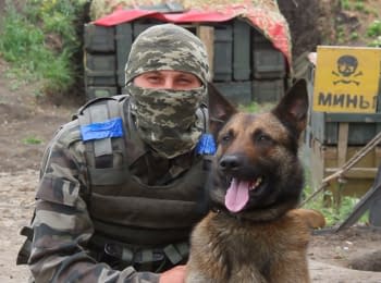 Бойцы АТО поздравили Украину с Днем защиты детей