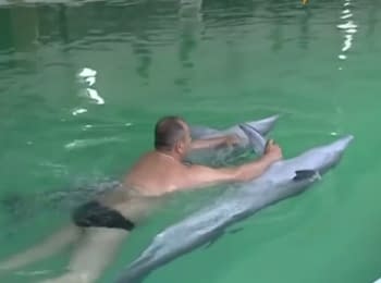 Wounded ukrainian soldiers are treated with dolphin therapy
