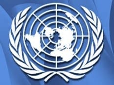 У Радбезі ООН запропонували відправку спостерігачів в Україну і посередництво