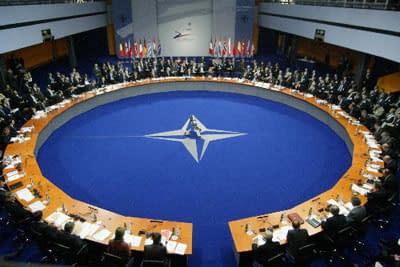 Парламентська асамблея НАТО розірвала співпрацю з Росією